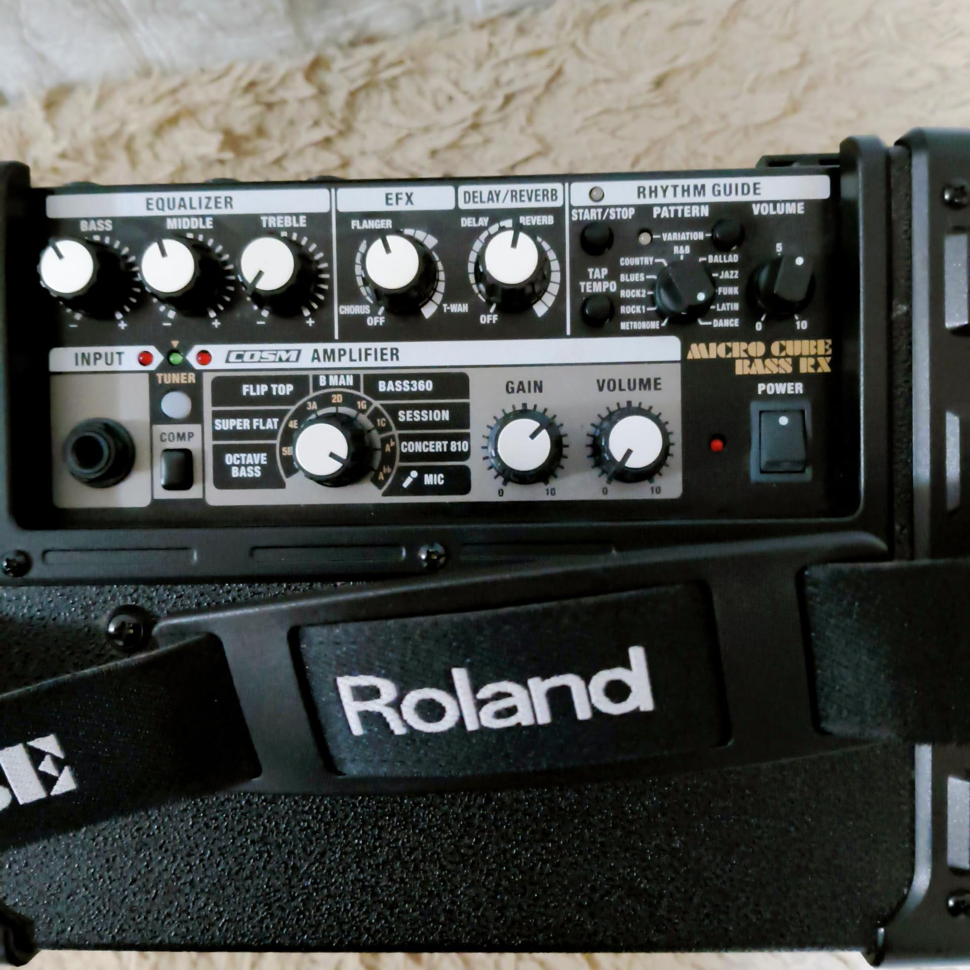 Amazon.co.jp: Roland ローランド MICRO CUBE BASS RX (MCB-RX) ベース