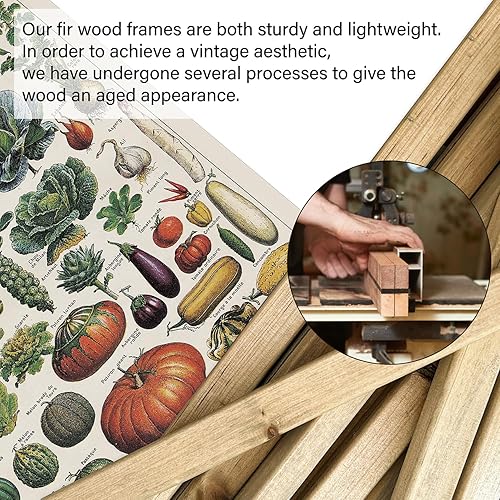 Miniatura 156 de XIAOAIKA Póster de botánica vintage con marco de madera, tabla de plantas venenosas antiguas, arte educativo botánico con especies peligrosas, 1