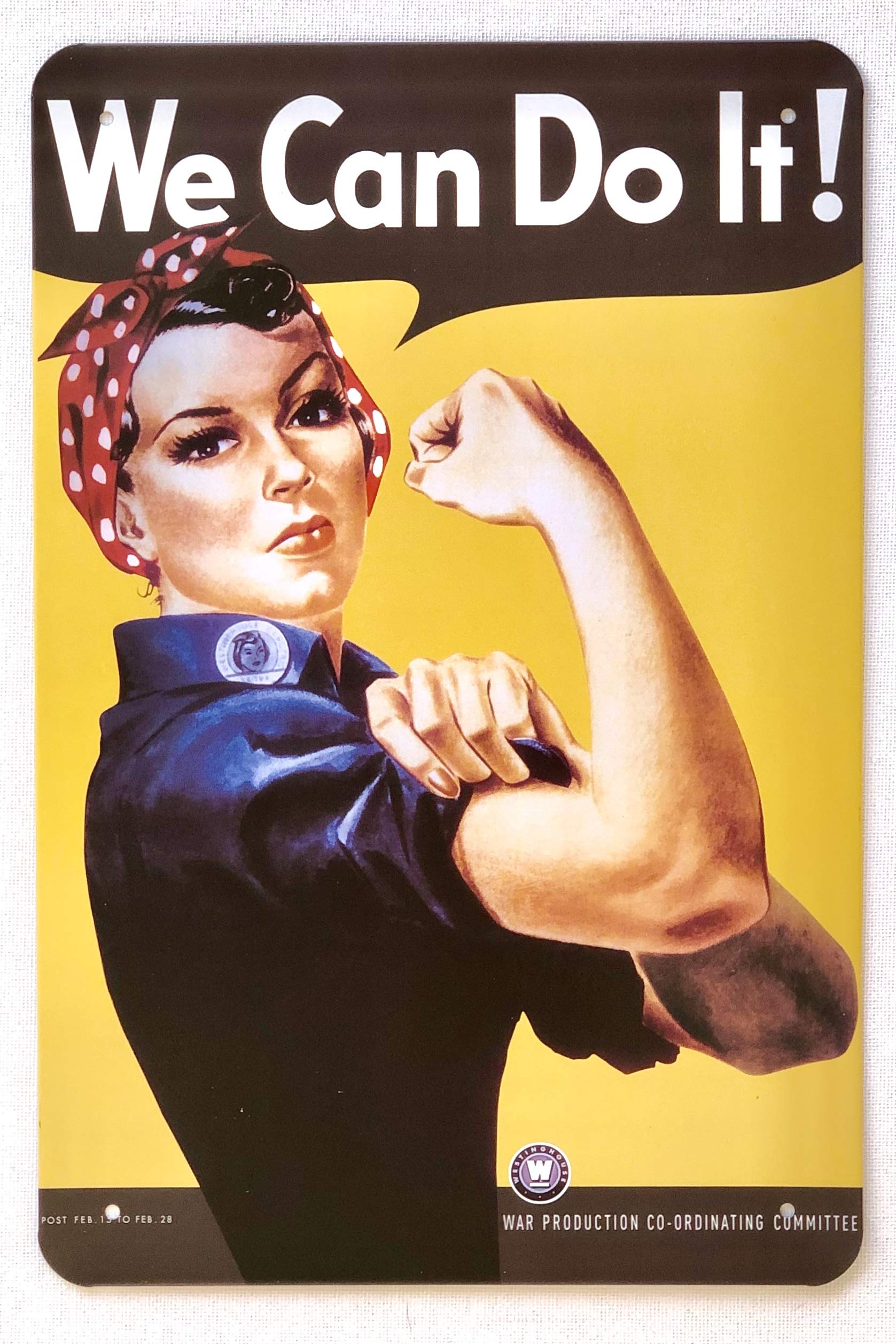 DiiliHiiri - Women Rights Feminism Women Empowerment Sign Vintage Sign Wall Tin Sign Creative Design Decoration for B