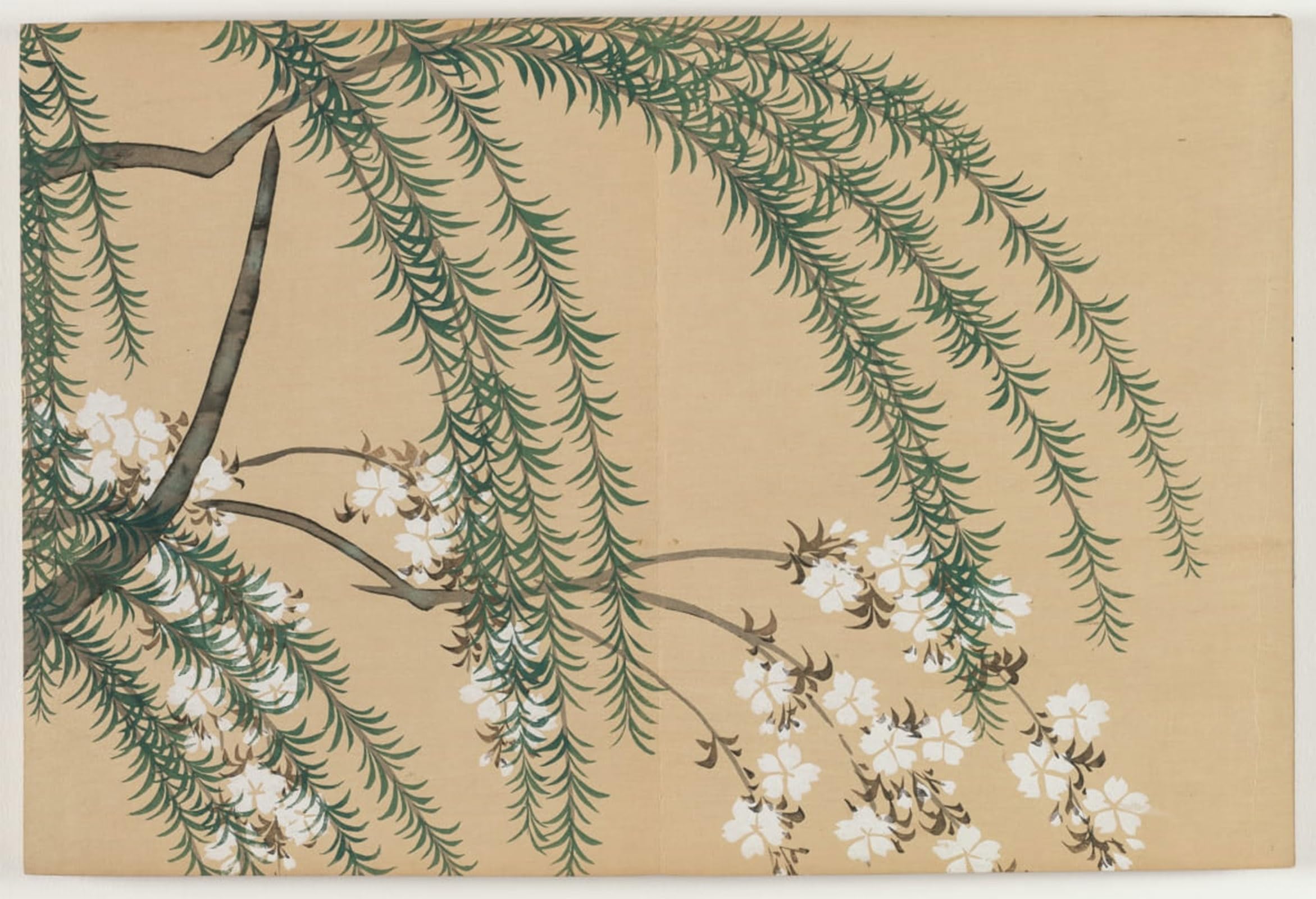 SERENDIPITP Vintage Picture Print on Canvas Wall Art Poster Flowers of a Hundred Worlds Willow and Cherry by Kamisaka Sekka Artwork Print Poster for Wall Decor 60x90cm