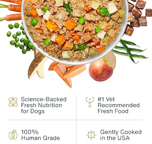 Miniatura 2 de JustFoodForDogs Alimento fresco congelado para perros, comida completa o alimento para perros, receta de alimento humano de carne de res y patata