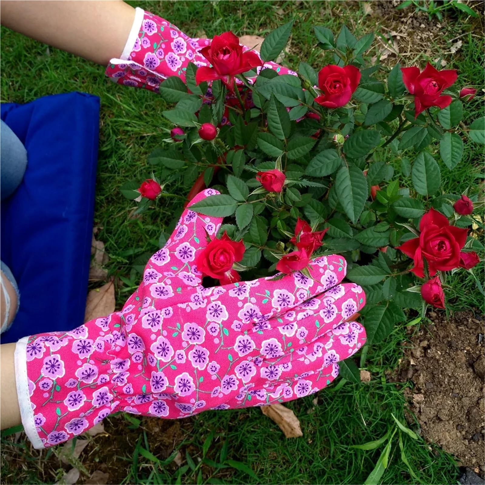 2 pares de guantes jardinería, trabajo lona y algodón, forro fino rizo for mayor calidez, puño elástico Para jardinería(Blue)