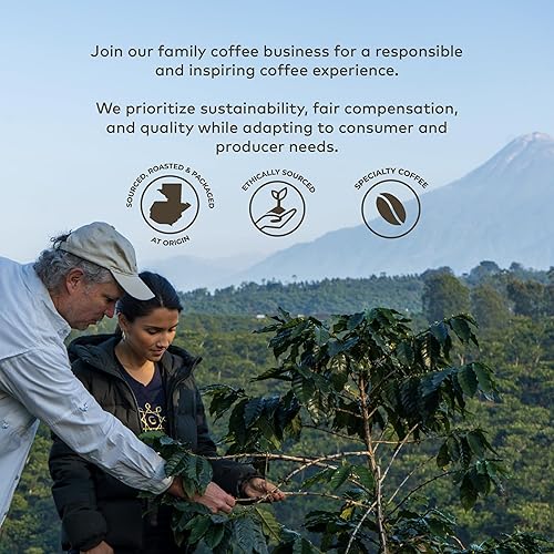 Miniatura 9 de GRANA Cápsulas de café Keurig K-Cup de tostado medio, compatibles con San Marcos, USDA Organic 100% arábica café especial de fuente única, 12