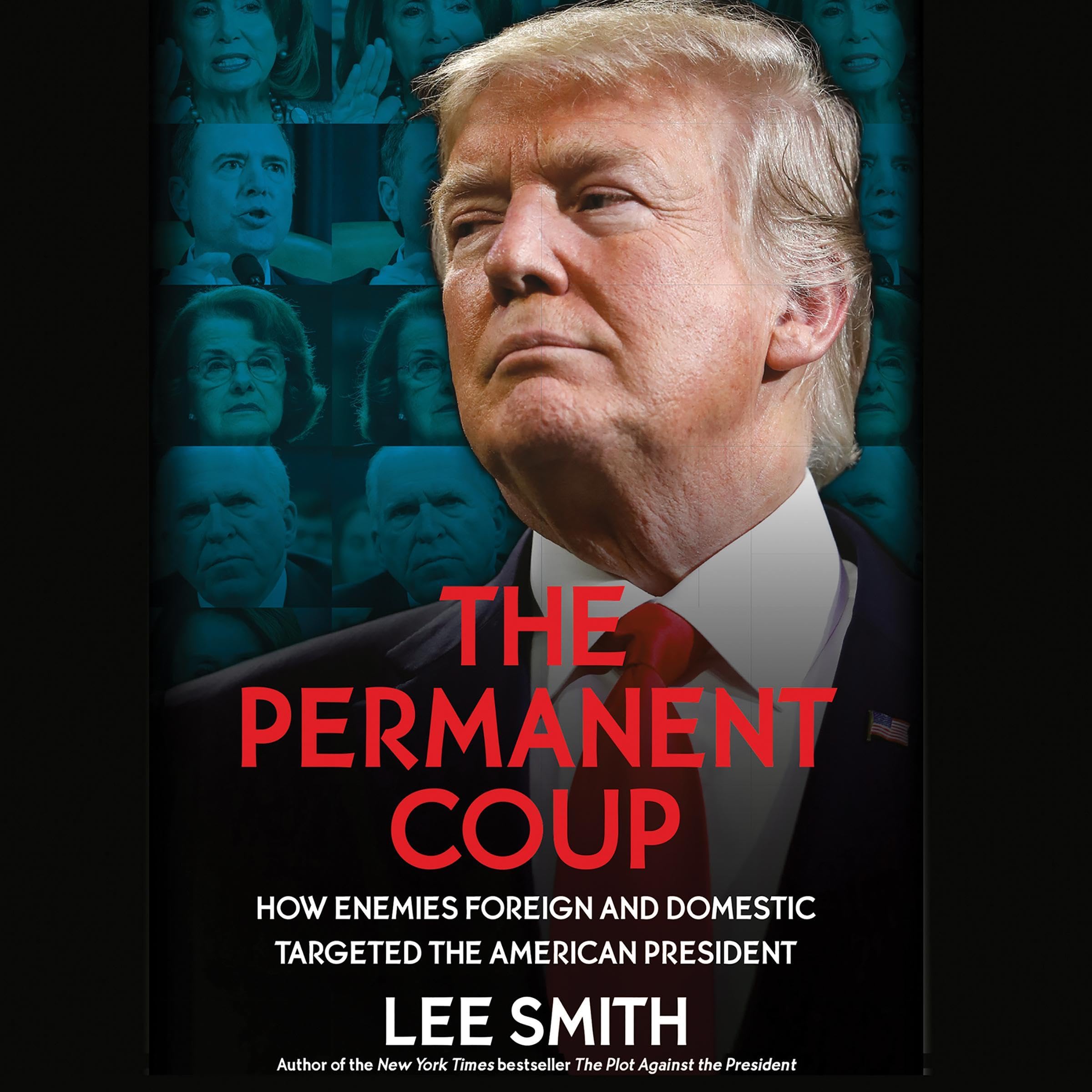 Cover art for The Permanent Coup