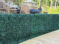 Review Image by ROSA VASQUEZ ROSA VASQUEZ