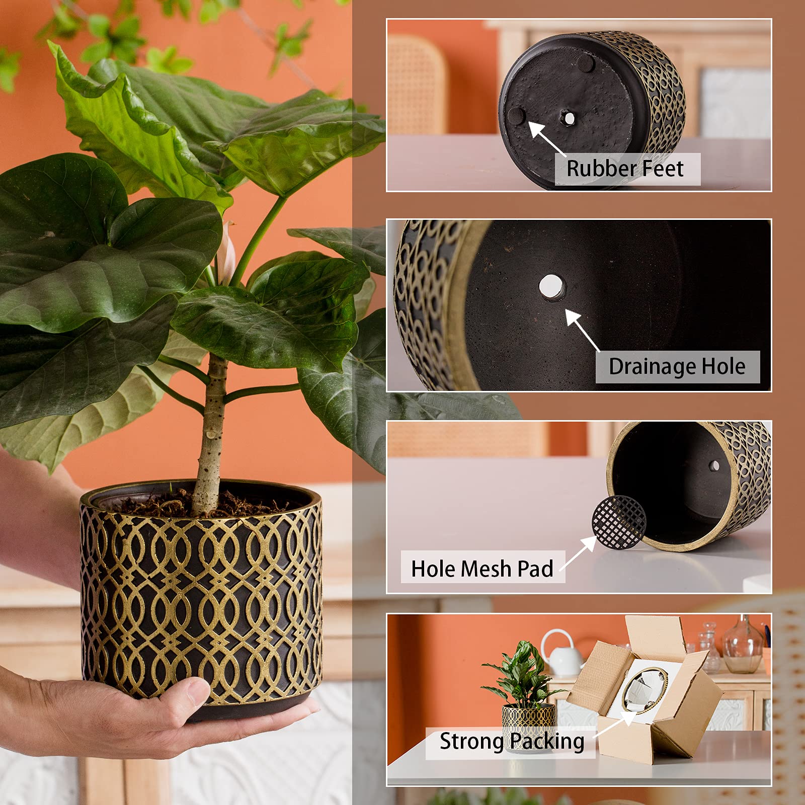 Maceta de cemento para jardín suculentas para interiores y exteriores, juego de 2 macetas grandes de 15,5 cm, pequeñas de 12,2 cm, con diseño curvado, con agujero de drenaje
