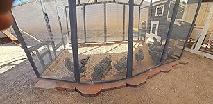 Review Image by Amazon Customer Amazon Customer