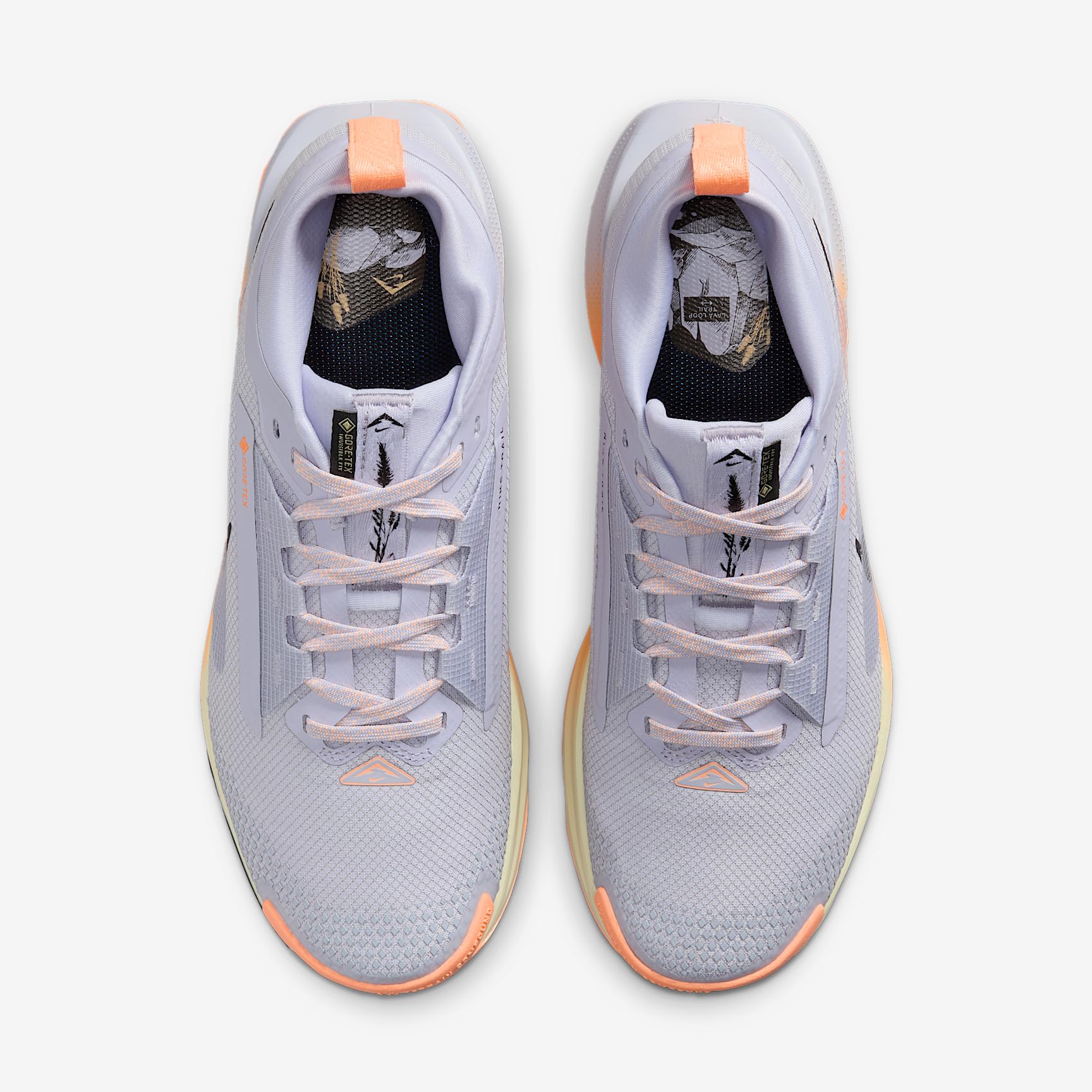 NIKE W Pegasus Trail 5 GTX - Scarpe da Corsa da Donna, Ghost Black Malt Orange Pulse, 41 EU