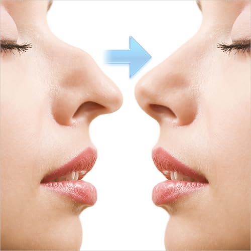 Plastic Surgery Simulator