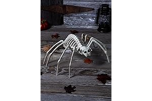 Seasons 20" Spider 'Skeleton'