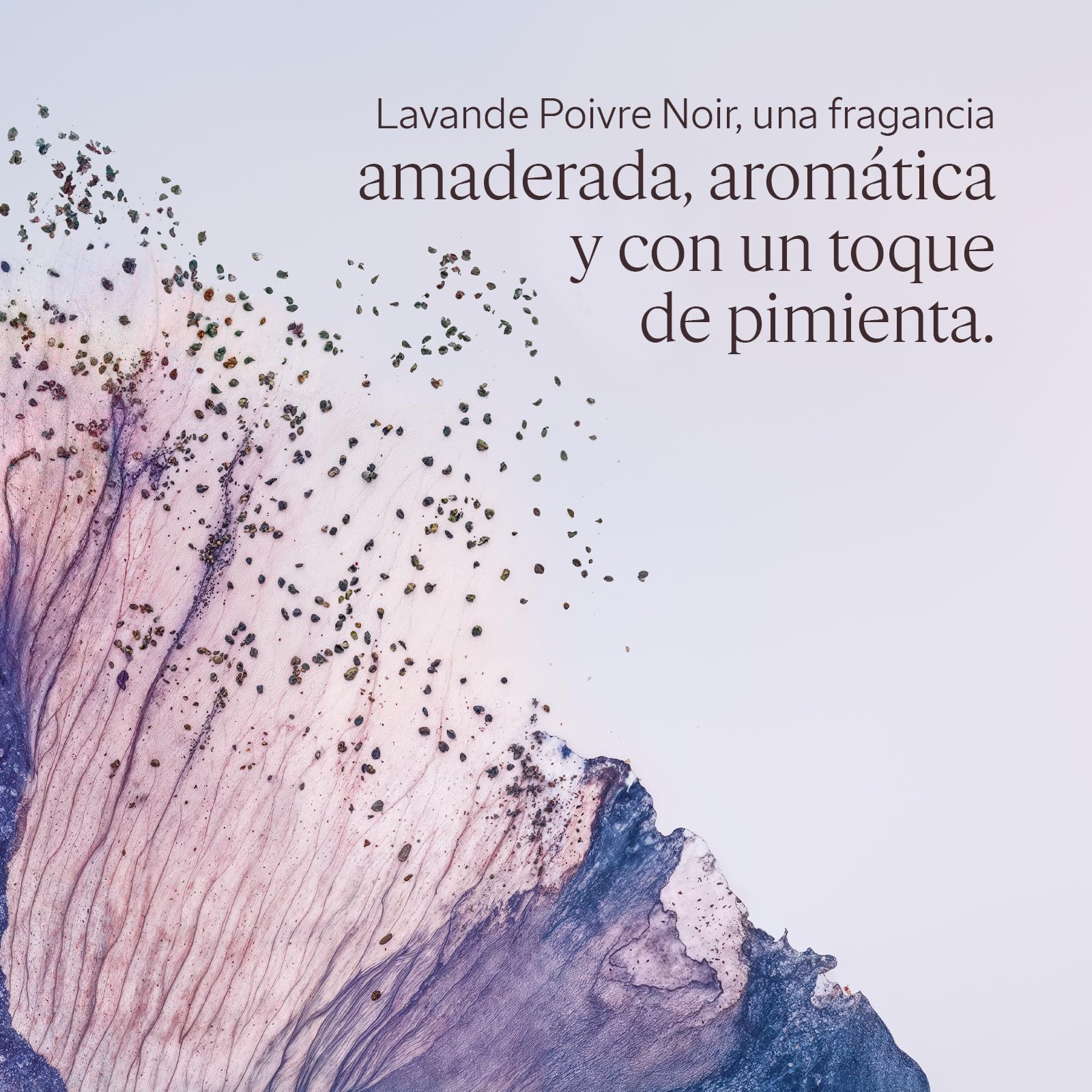 L'OCCITANE - Bálsamo Aftershave Lavande Poivre Noir (anteriormente L'Occitan) - 75 ml - Hidrata y reduce las irritaciones - Fabricado en Francia