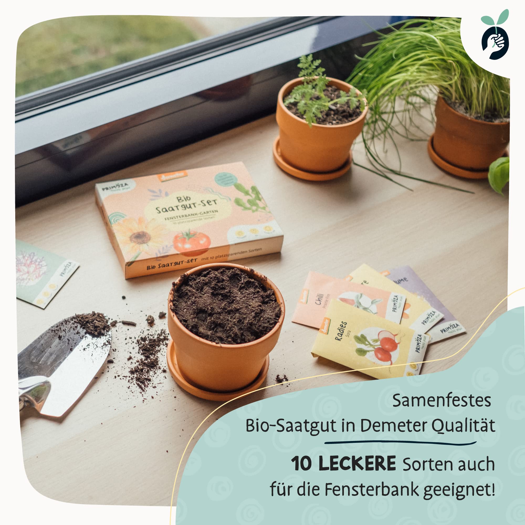 Bio Gemsesamen Set fr die Fensterbank | Indoor Gardening mit 10  pflegeleichten Gemse Sorten | samenfestes Saatgut in Demeter Qualitt |  Set fr Balkon, Hochbeet, Mini Gewchshaus : Amazon.de: Garten