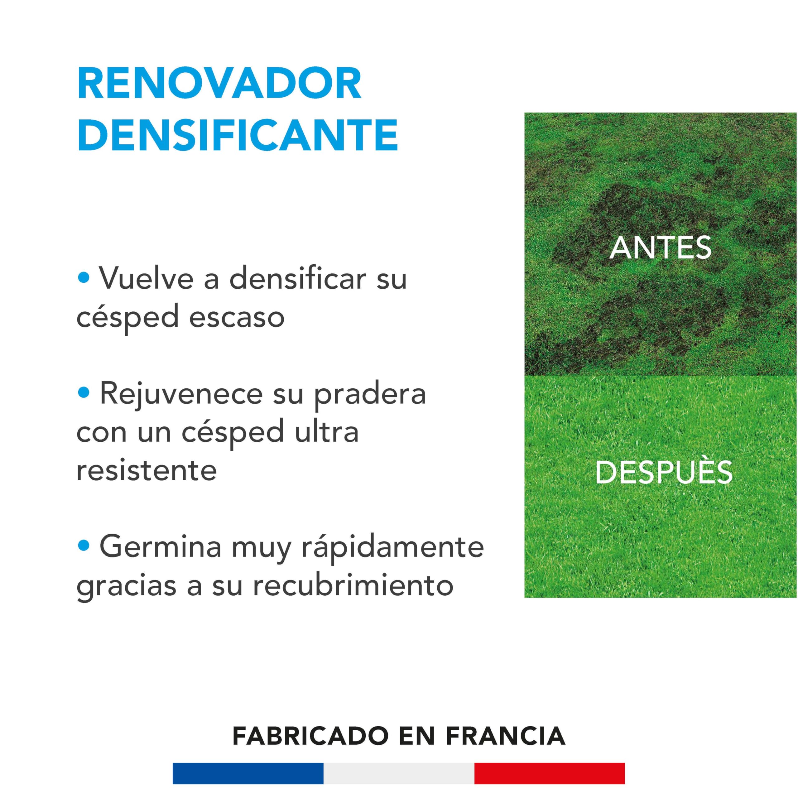 BARENBRUG - Cuidado Renovador Densificante - Densifica y Rejuvenece el Césped - Germina Muy Rápido - Semillas con Recubrimiento - Fabricado en Francia - 3 Kg