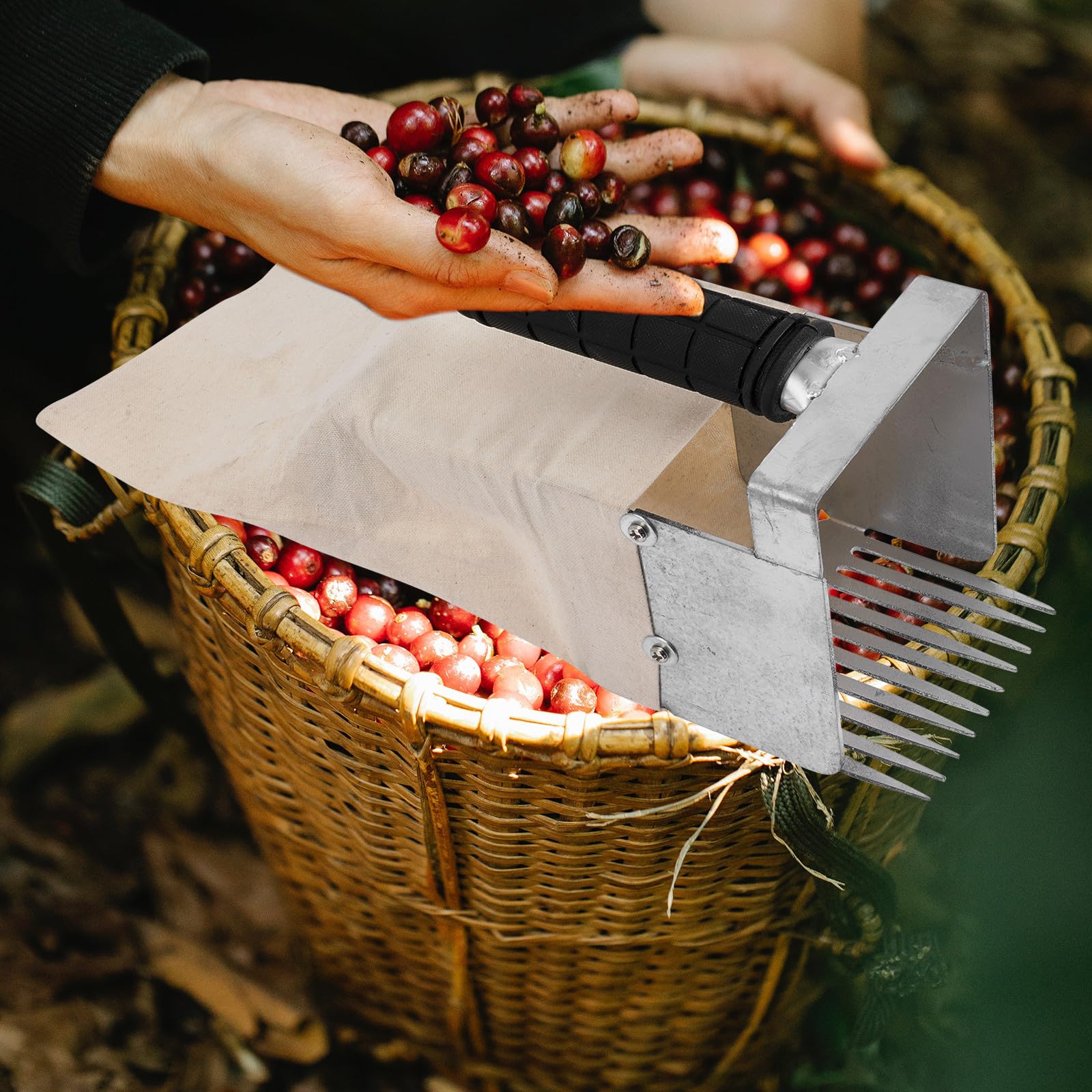 SHERCHPRY Recolector Portátil de Frutas Pala para Arándanos, Herramienta Dentada para Aficionados, Adecuado para Recolección en Huertos Familiares Color Aleatorio