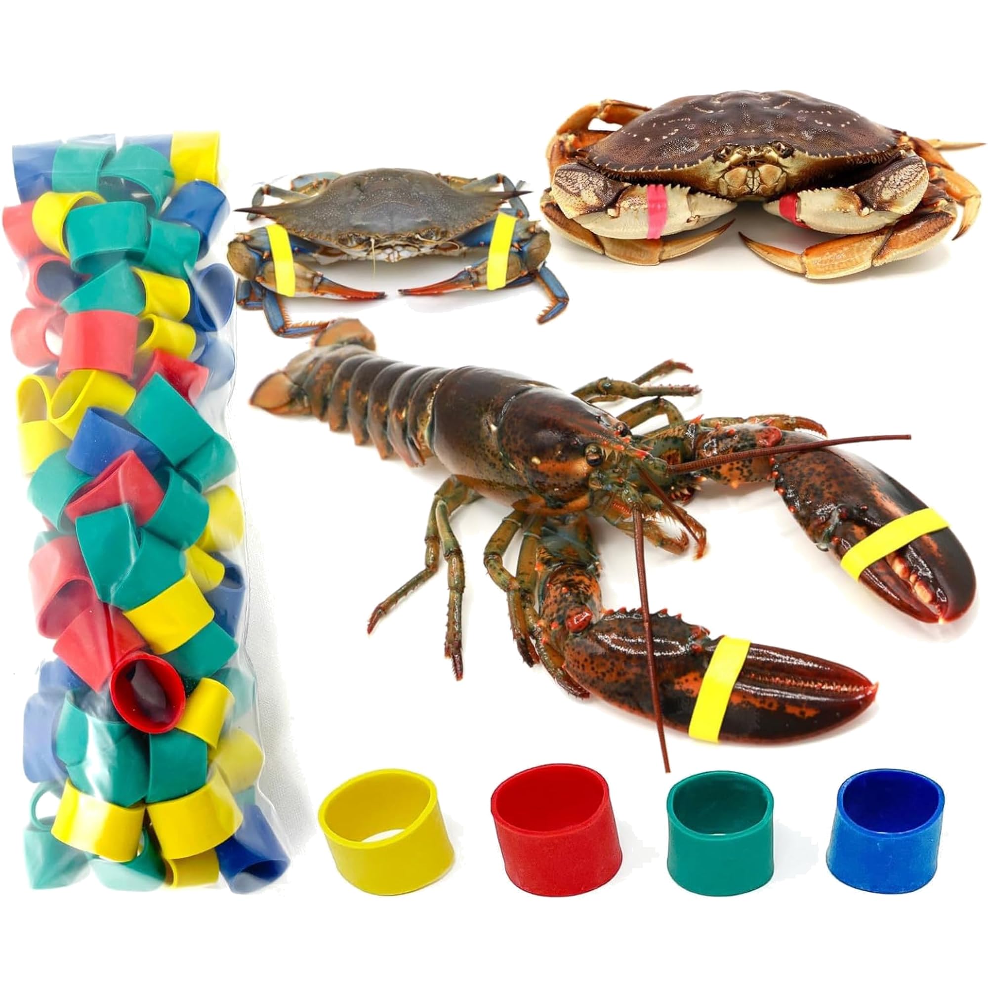 AirFly Crab and Lobster Claw Bands - Size 1" x 0.5" - FDA-Compliant Silicone - Cook Safe, Non-Latex, Non-Toxic - Fits Lobster, Dungeness and Blue Crab - Made in USA (Assorted, Bands Only)