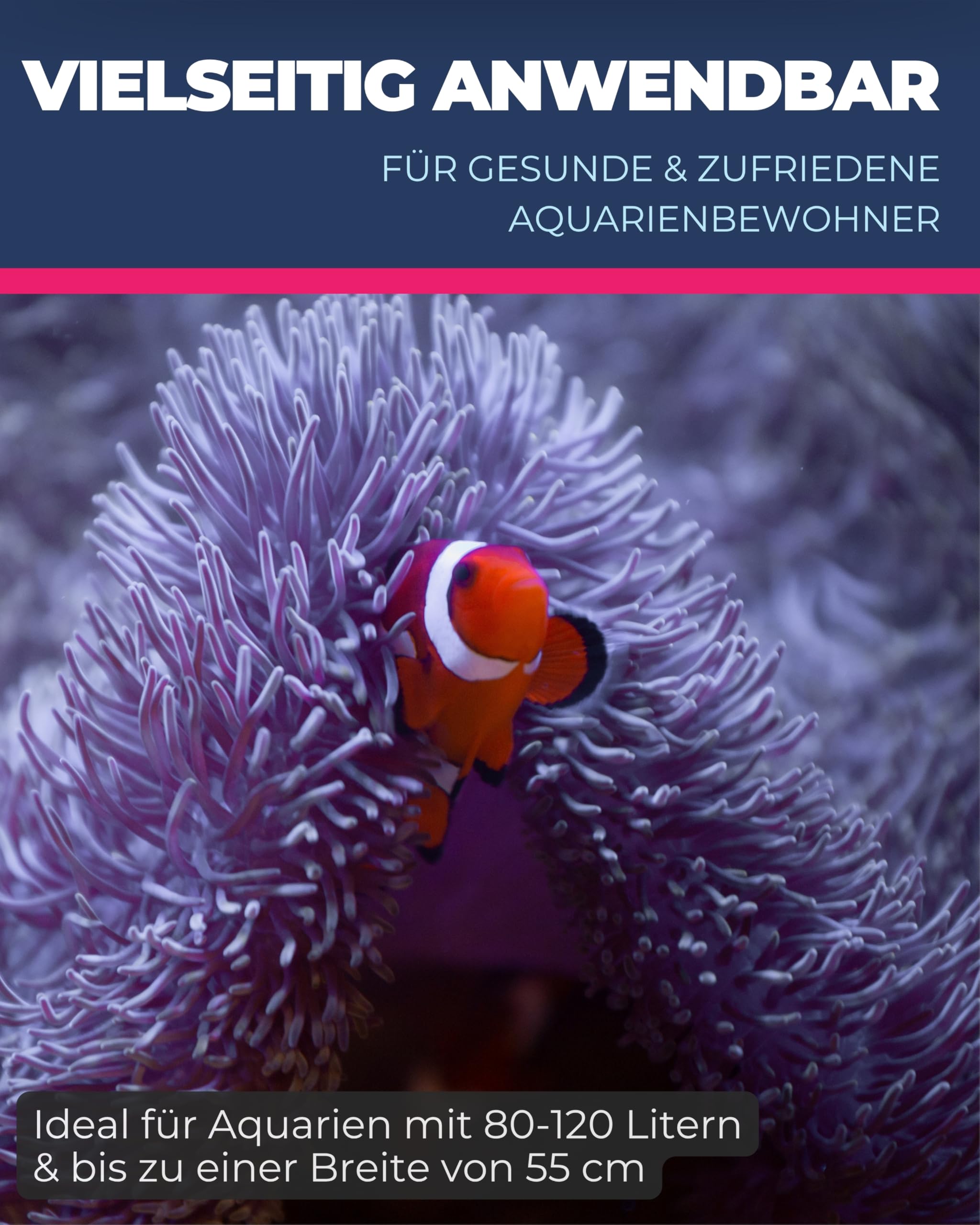 Dupla Marin Ocean Lux LED Controller I Programmierbare Lichtsteuerung für Meerwasseraquarien I Tageslicht- & Mondphasen-Simulation im Aquarium I 2-Kanal-Steuerung I 24 V Sicherheitsspannung