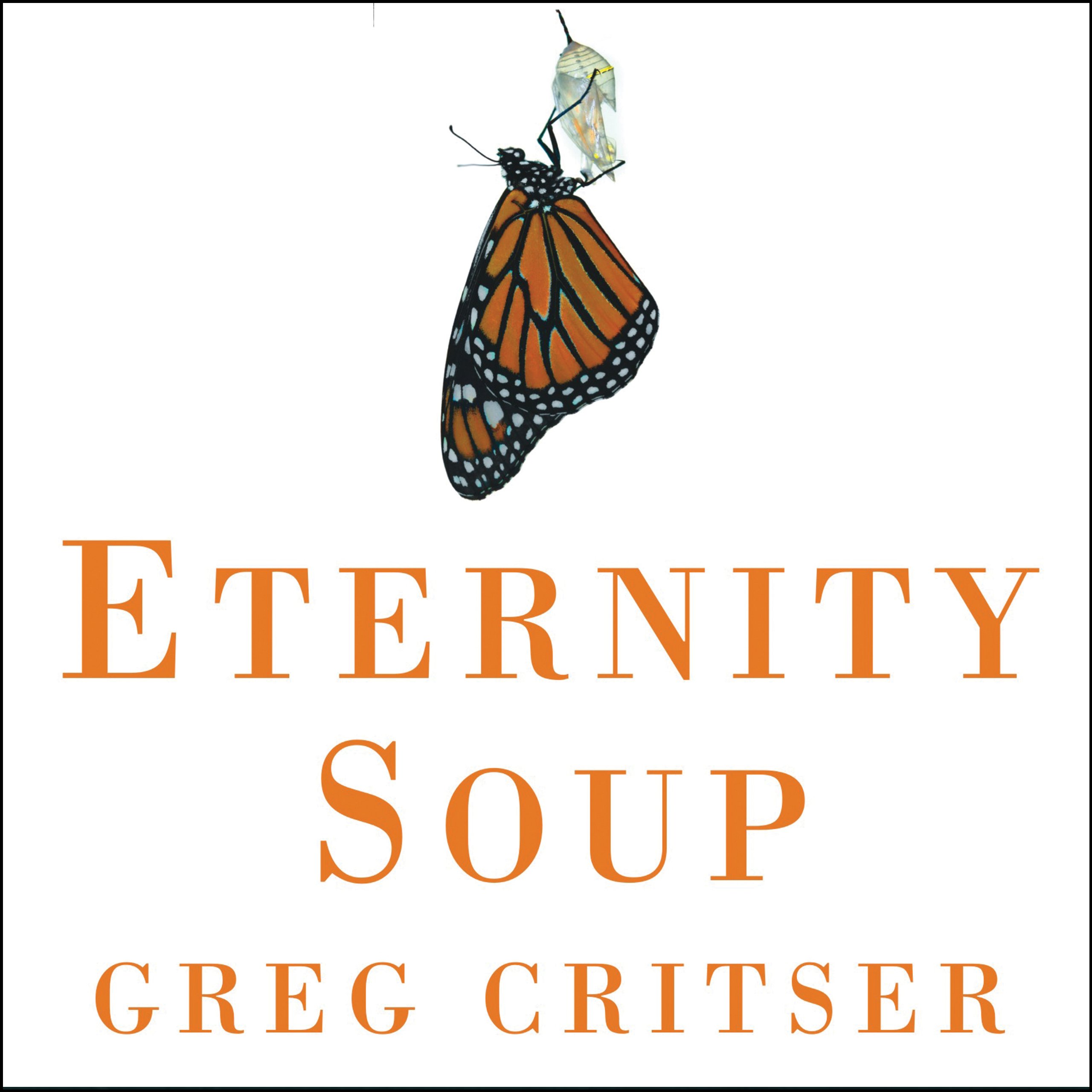 Cover art for Eternity Soup