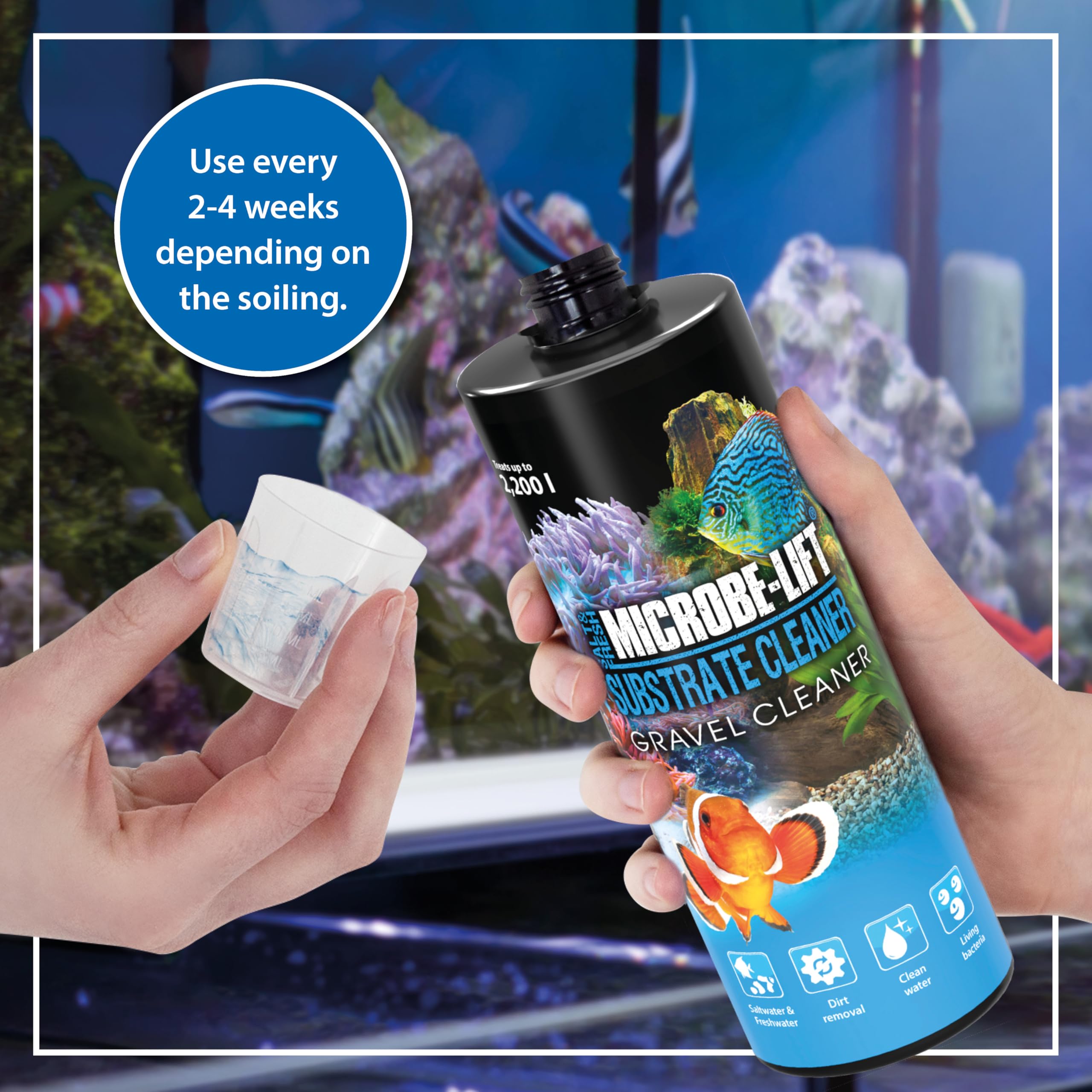 Legno Di Cholla Naturale Per Acquario - 3 Pezzi Da 15 Cm Per Gamberetti, Granchi E Rettili - Foto 6