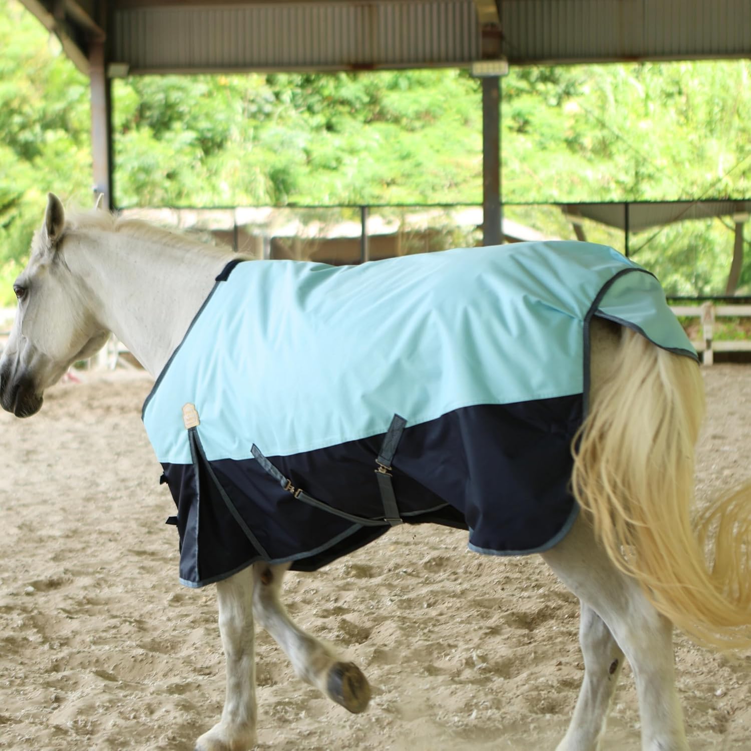 BARN & STABLE 600Denier 3000mm/3000mvp Super Waterproof & Breathable Horse Blankets for Winter with 200g Fill