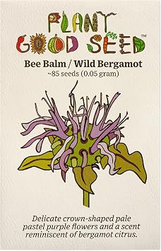Plant Good Seed Sweet Bergamot/Wild Bee Balm Seeds - Pack of 85, Heirloom Seeds for Planting Herbs - Gardening Supplies, Herb Garden, Wildflower, Flower Seed to Plant Outside - Non-GMO, from USA