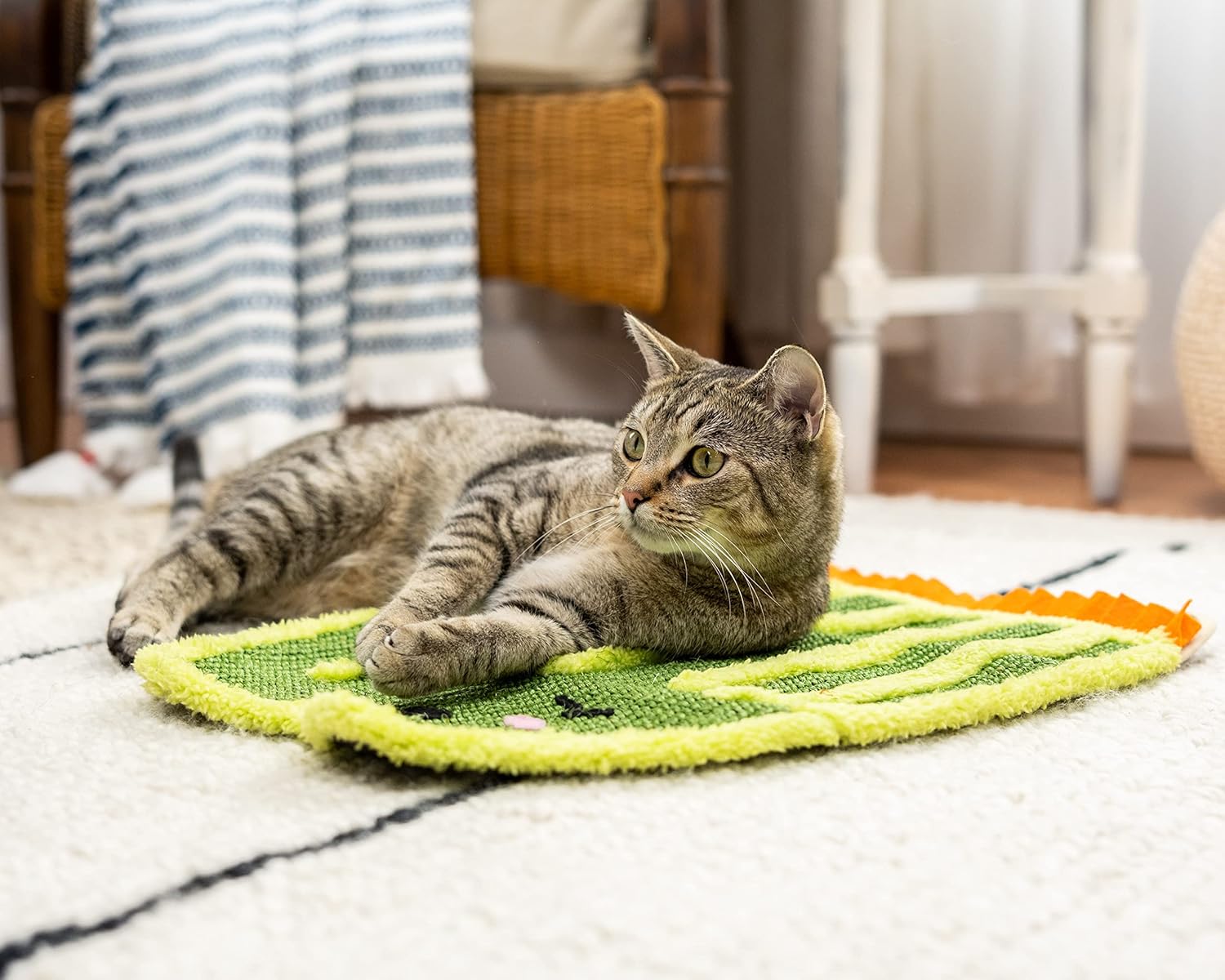 Kitty City Premium Catnip Sisal Scratch Pad, Cactus Design, Natural Cat Training Scratch Play Pad, Large : Pet Supplies