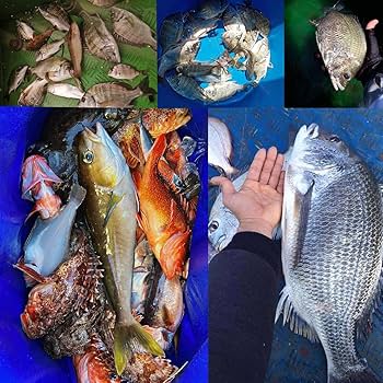 マグロ・青物用ルアー5本セット　Ｂ Amazon.co.jp: Contyu 青物ルアー セット ミノー ヒラメ