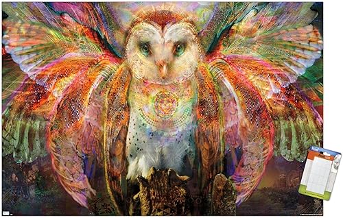 Vista 7 de Trends International Jumbie - Owl Wall Poster, 34L x 22.4W, Mahogany Framed Version