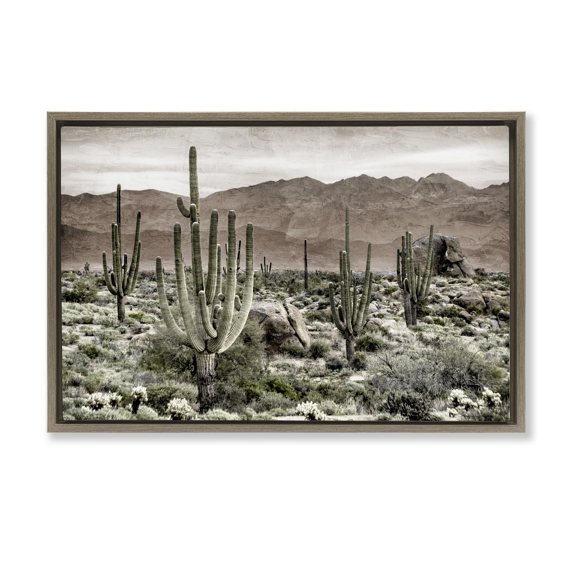 Stupell Industries Montalcino Elm (Textured) Desert Cacti Wilderness Landscape, 16 X 24 Inch Canvas In Floater Frame