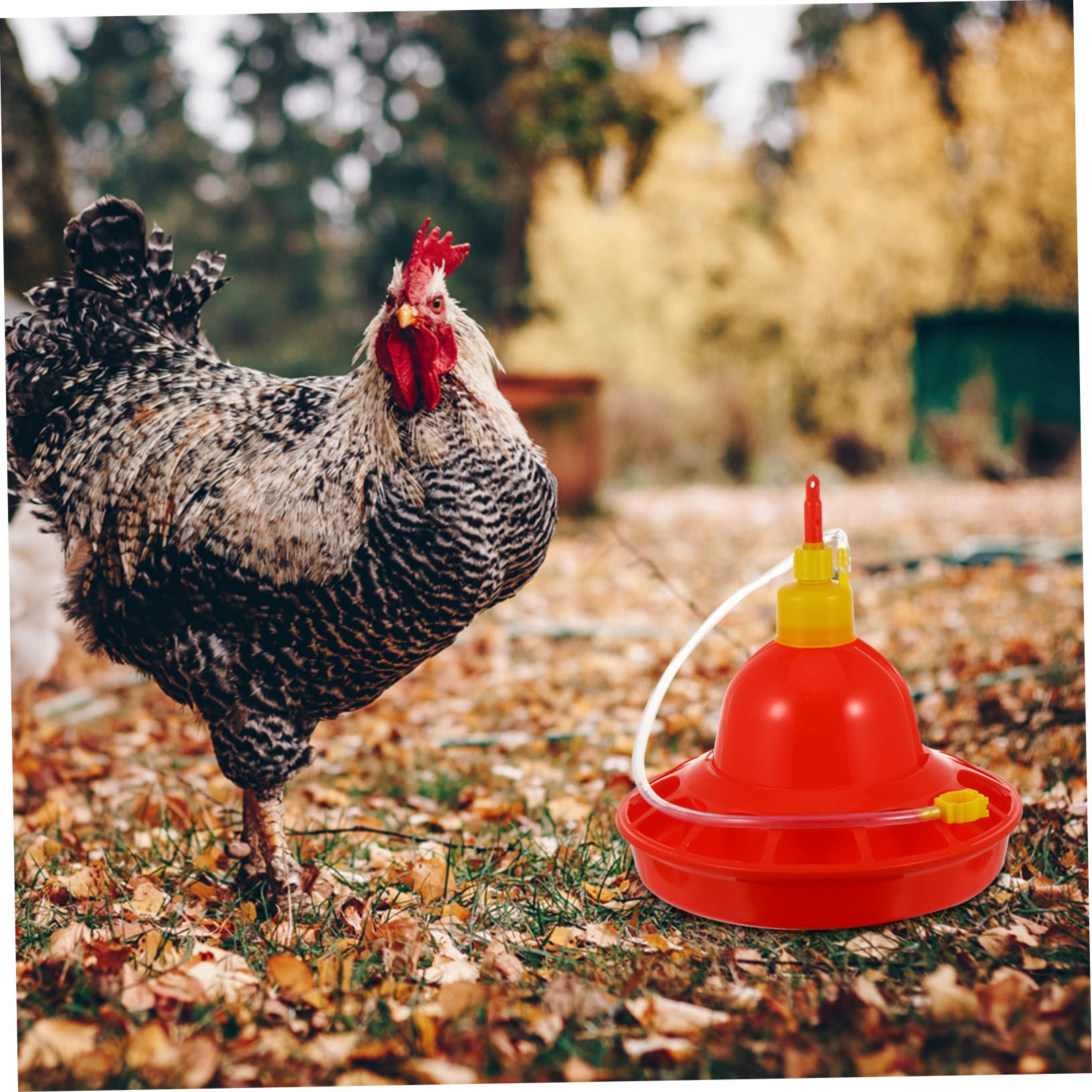 Abbeveratoio Automatico per Pollame e Oche, Plastica Rossa, Flusso Costante, Resistente al Freddo, per Uso Domestico in Fattoria