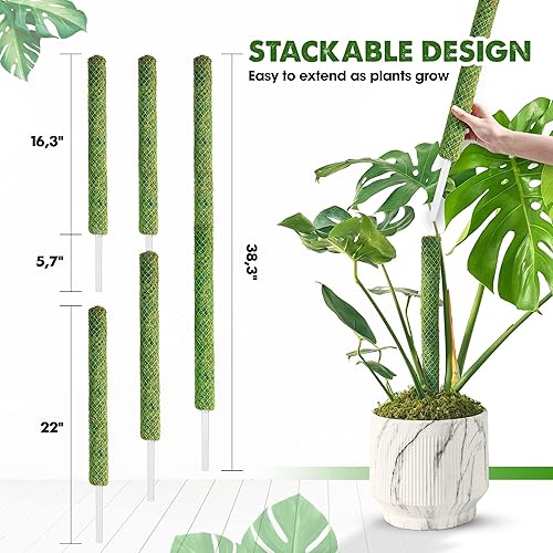 Miniatura 3 de DUSPRO Paquete de 2 postes de musgo de malla apilable verde de 38 pulgadas para plantas trepadoras, soporte de enredaderas Monstera, para plantas de