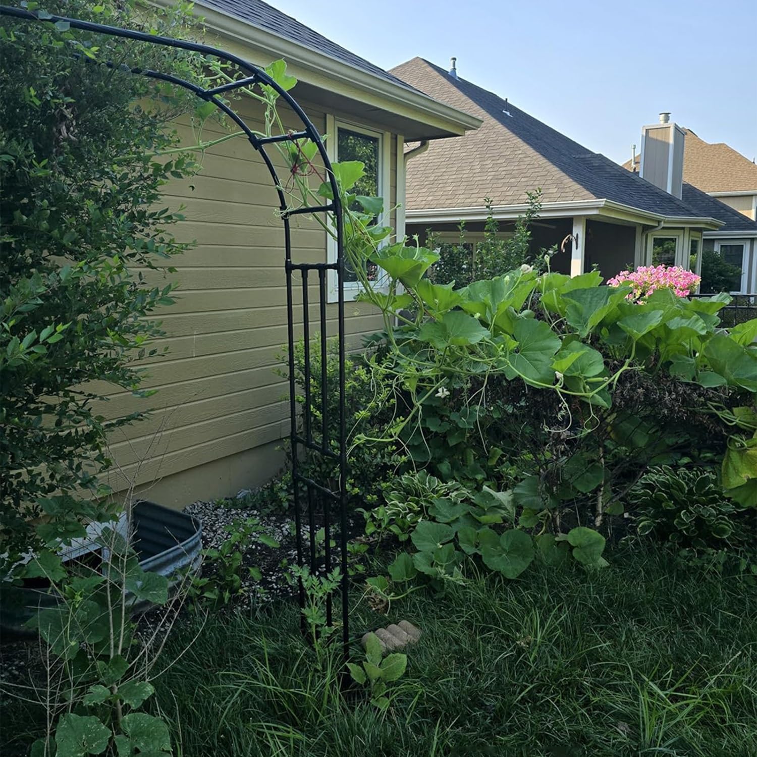 Traliccio semicircolare da giardino per esterni, 10 misure, supporto per rose in metallo, per piante rampicanti, decorazione da giardino, per patio, bianco (altezza 240 x larghezza 240 cm)
