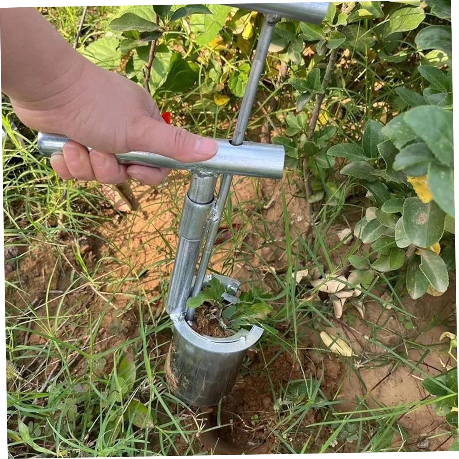 Fioriera per bulbi resistente, con manico lungo in acciaio per piantare senza sforzo, scavare il giardino, coltivare iris e narcisi, strumento da giardino durevole