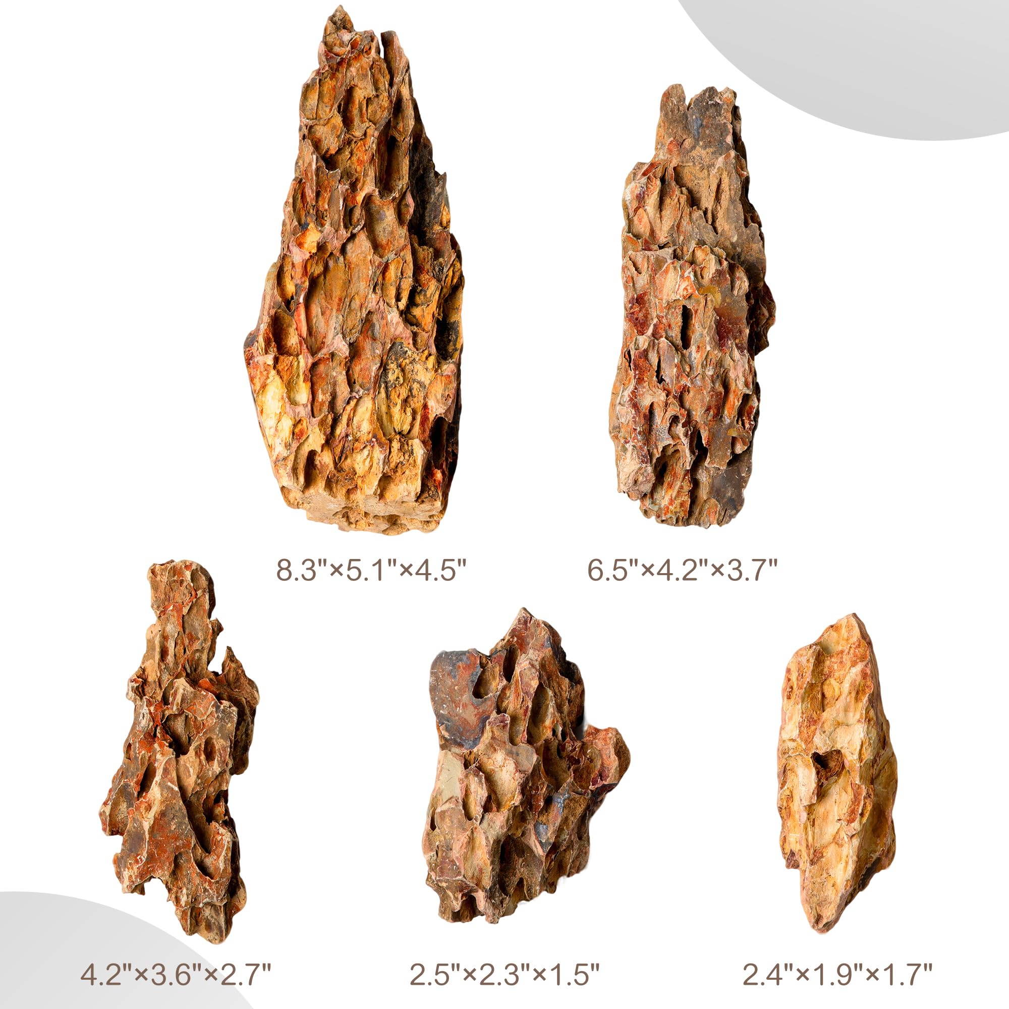 Piedra Dragon Natural 5,5-20,5 cm, Juego de 5 Piedras Mixtas para Aquascaping, Terrarios y Decoración de Acuarios