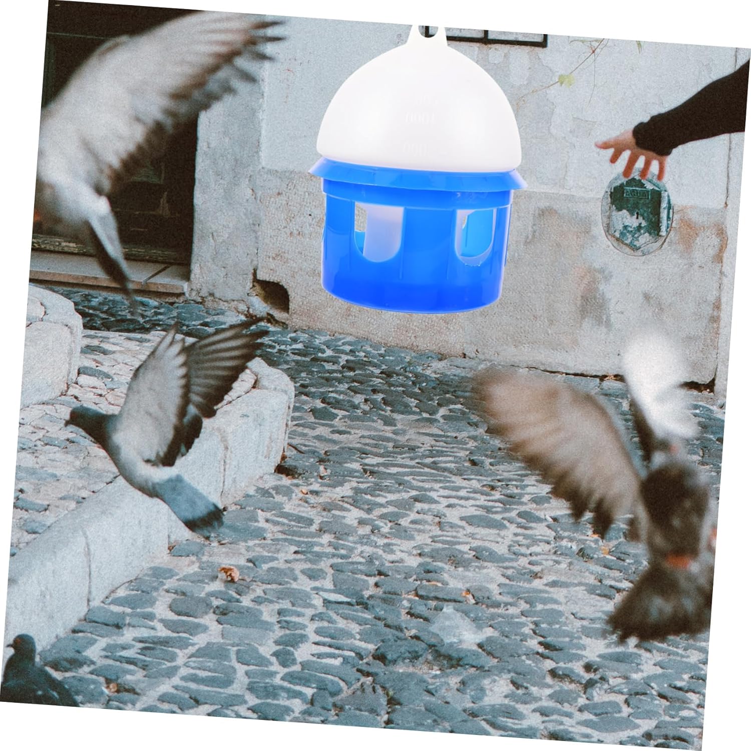 Sosoport 1pc Automatic Drinking Bowl Pigeon Water Feeder No Mess Bird Feeder for Parrots Doves Automatic Bird Waterer