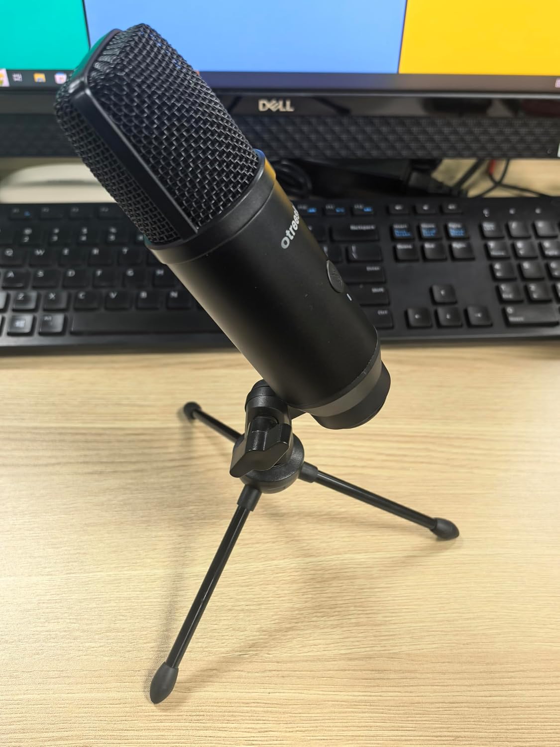 Otreeskin,Professional Microphone