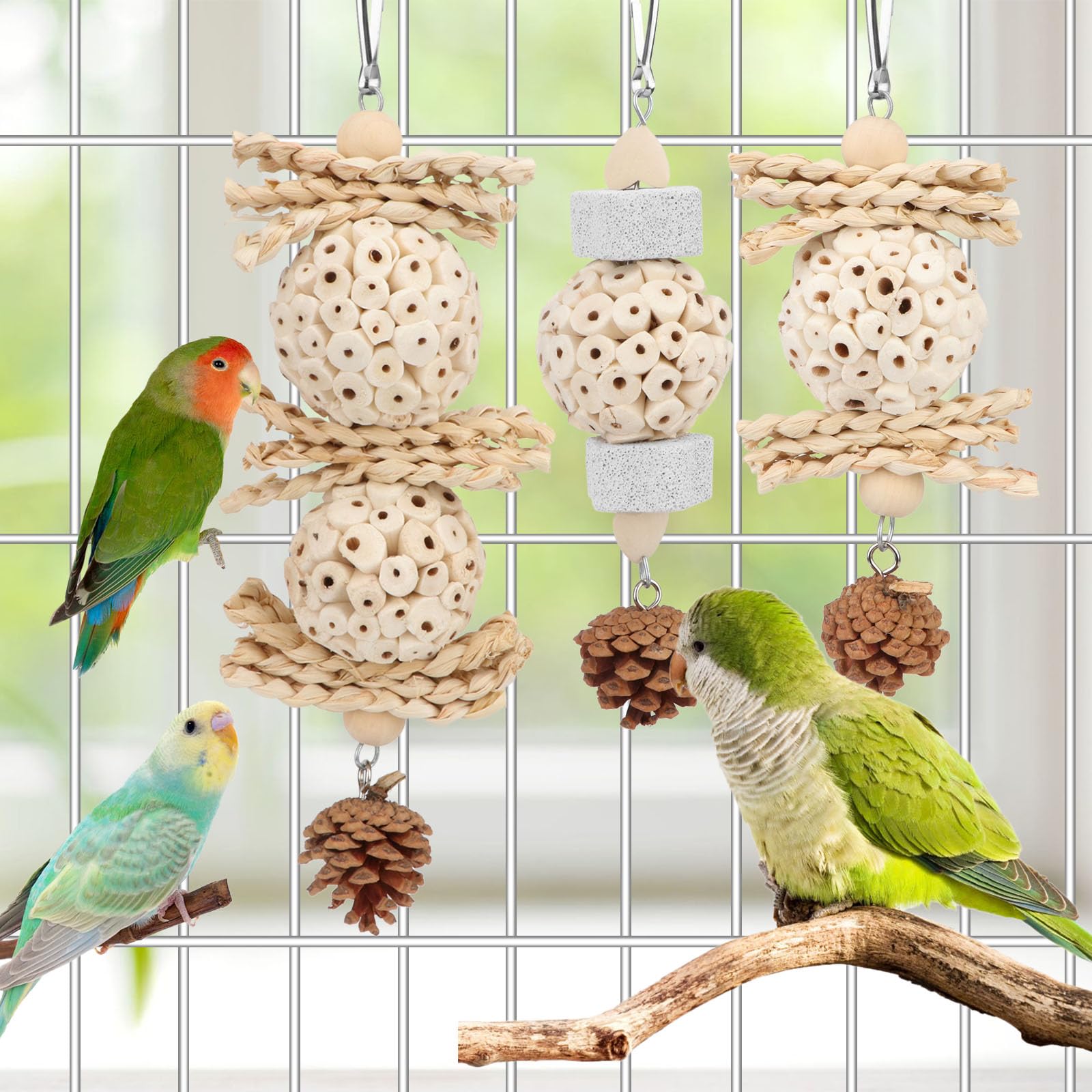 Wontee Bird Toys 3 Pack Parrot Foraging Hanging Toys Sola Ball Natural Nuts Chew Toys for Cockatiels Conures Parakeets Budgies Senegal (3 Pack) - image 2