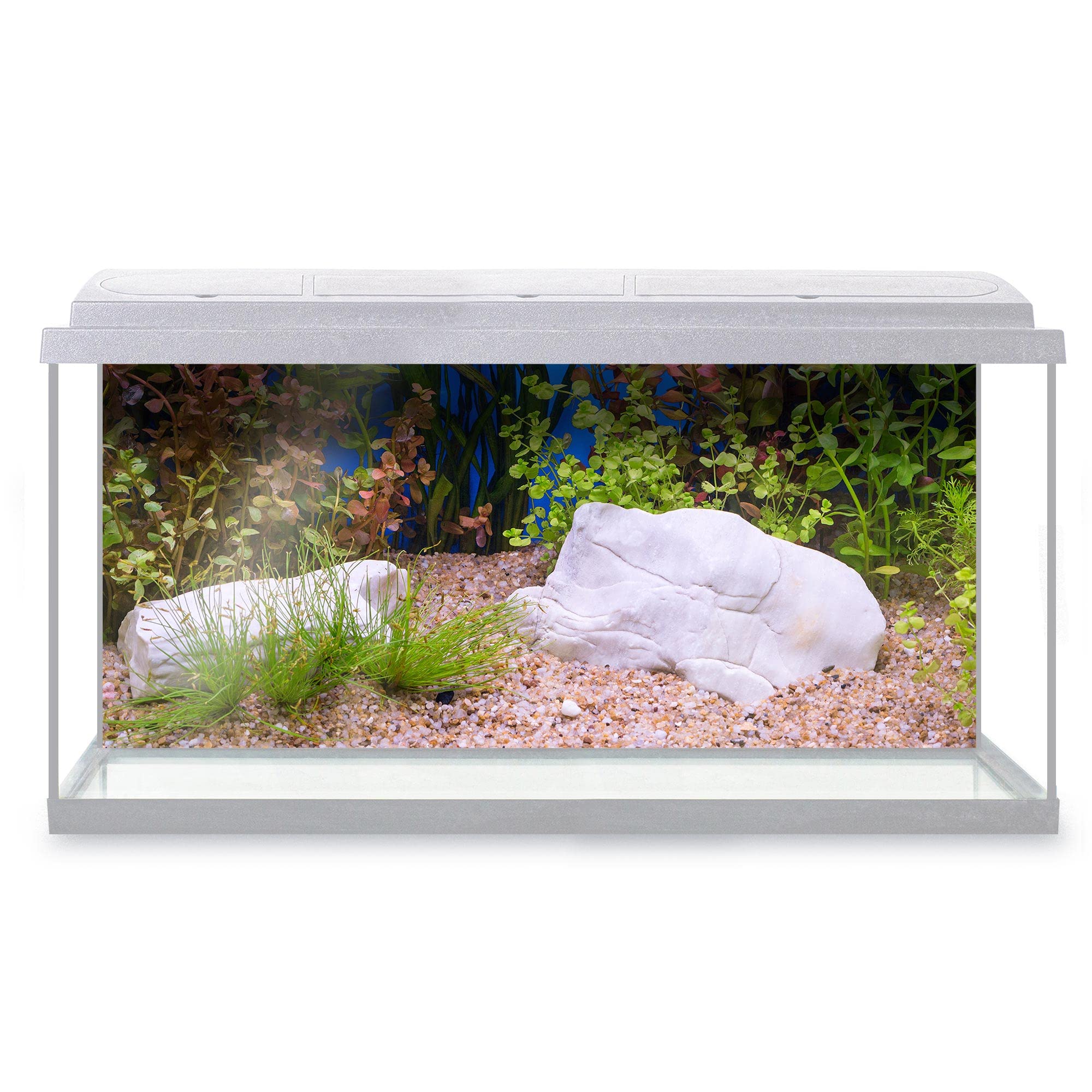 DV DESIGN Aquarium Fish Tank Background 123x54 cm - Green Beautiful Plant Tropical Freshwater Ocean Sea Marine Landscape Static Cling Vinyl Vivarium Terrarium External Application #500052 — image 1