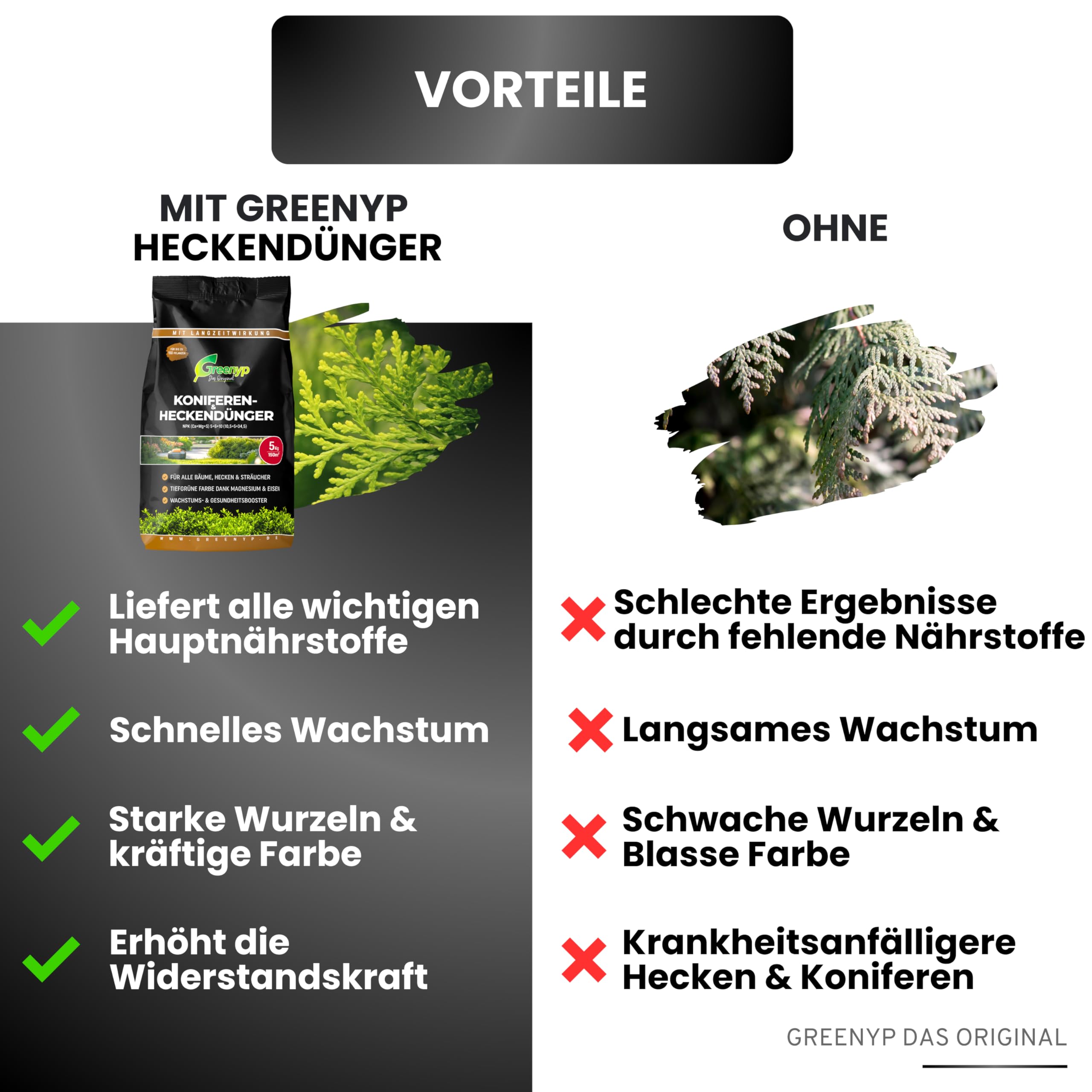 Greenyp Universal Heckendünger I 10kg für 300m² I für alle Bäume, Sträucher & Hecken I Koniferen Langzeitdünger mit Eisen + Magnesium und 3 Monate Düngekraft I Schnelles Wachstum Neuanpflanzungen