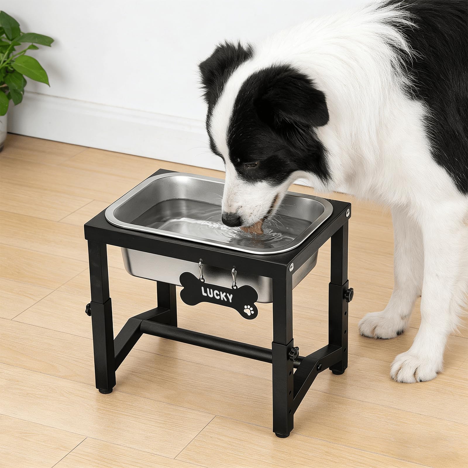 Cuenco de agua grande elevado para perros de 1.2 galones, 4 alturas ajustables de 7.8 pulgadas, 9.2 pulgadas, 10.6 pulgadas, 12 pulgadas, soporte elevado de acero inoxidable para razas pequeñas