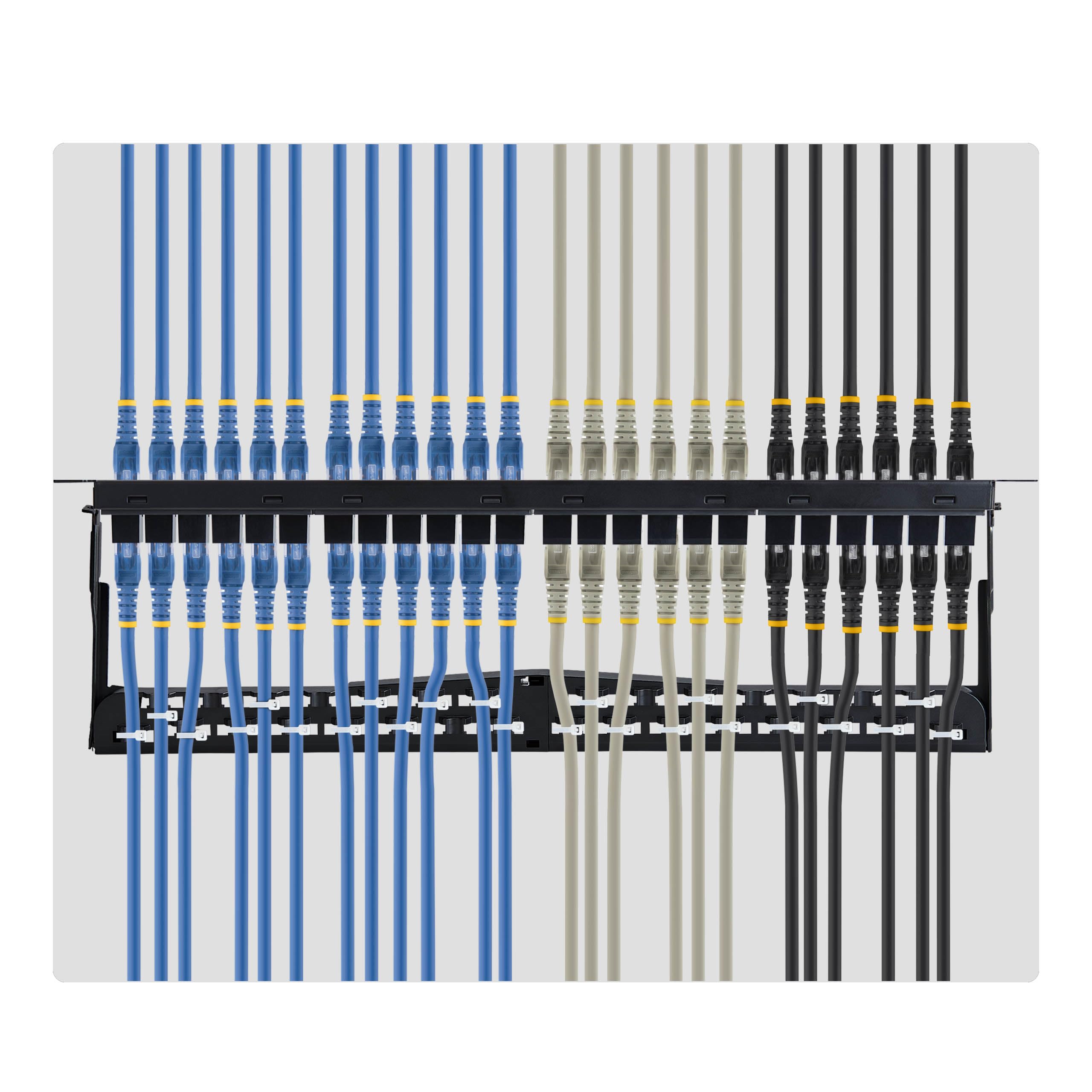 StarTech Panneau 24 Ports 1U Cat6 UTP à Coupleurs RJ45 (C6PANELUTP241UFT)