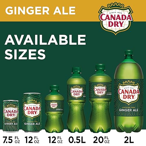 Miniatura 3 de Canadá Dry - Ginger Ale