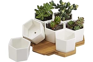 7 Pack 2.75 Inch Small Hex Succulent Ceramic Cactus Flower Plant Pot...