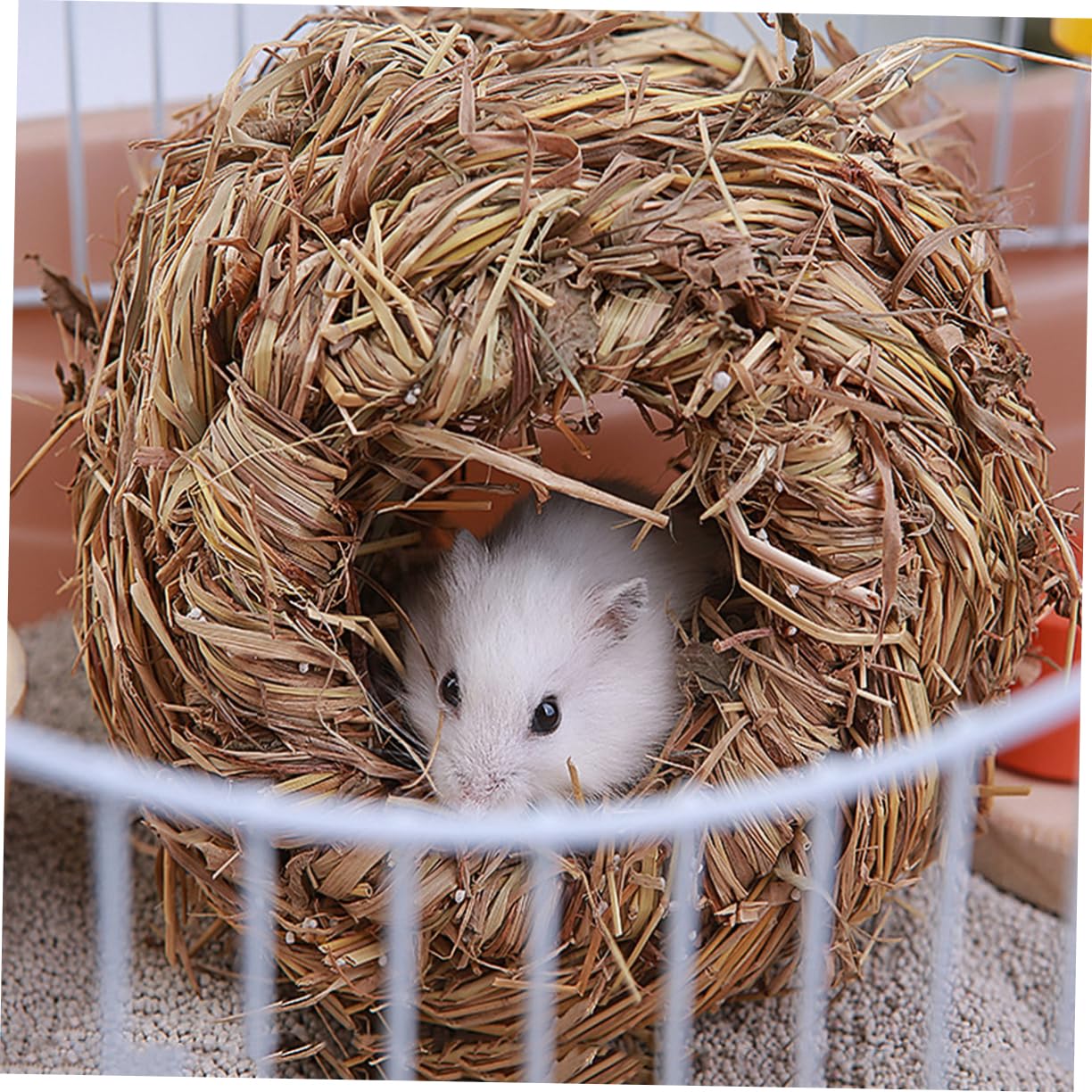 COLLBATH 2 Sets Luxus Gewebtes Grasnest Für Meerschweinchen Hamster Rennmäuse Chinchillas Einzigartiges Design Versteckspielzeug 3 Stück X 2