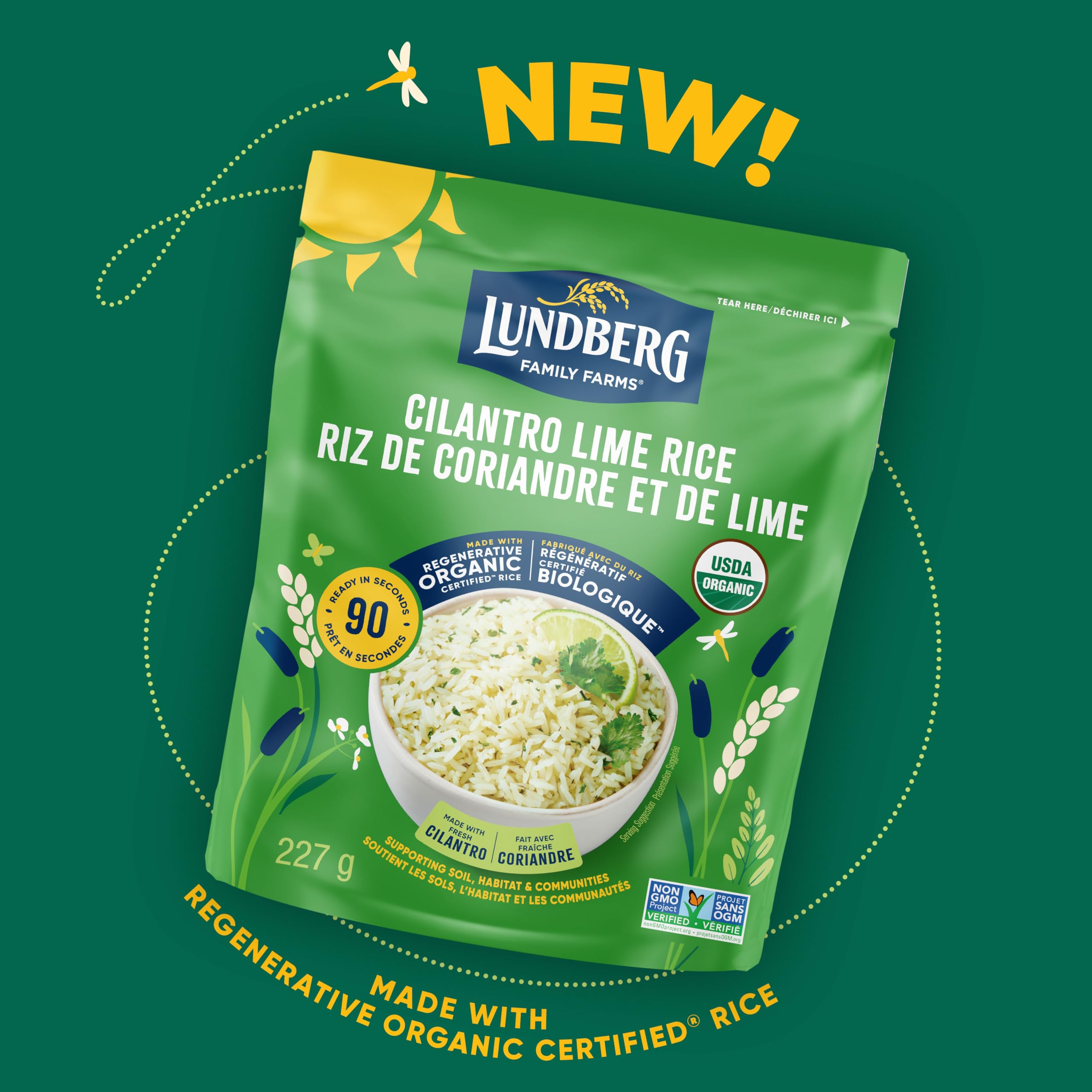 Rice des limes de coriandre – délicieux frappe saine