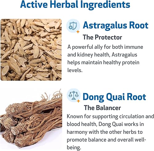 Miniatura 4 de Pet Wellbeing Soporte renal Gold para gatos  Apoya la función renal normal y la desintoxicación, hidratación saludable y energía con Rehmannia y