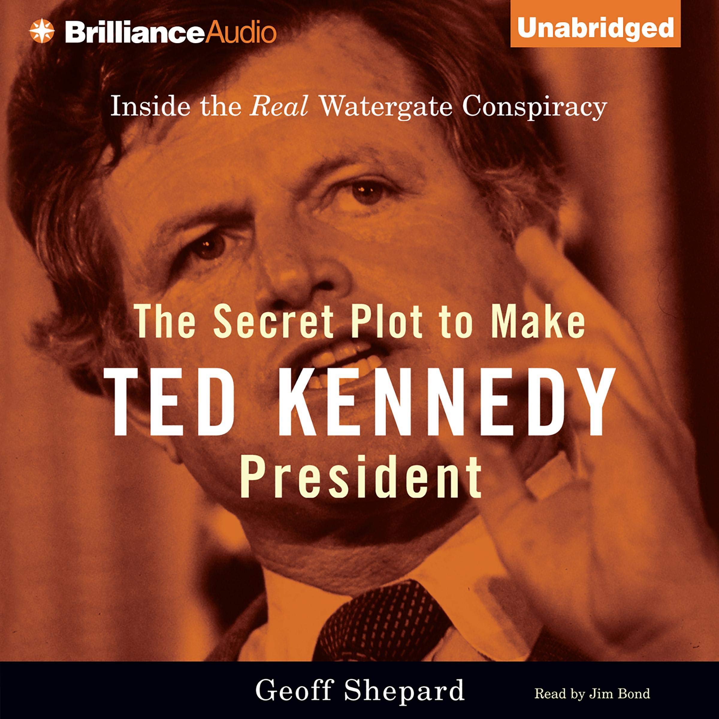 Cover art for The Secret Plot to Make Ted Kennedy President