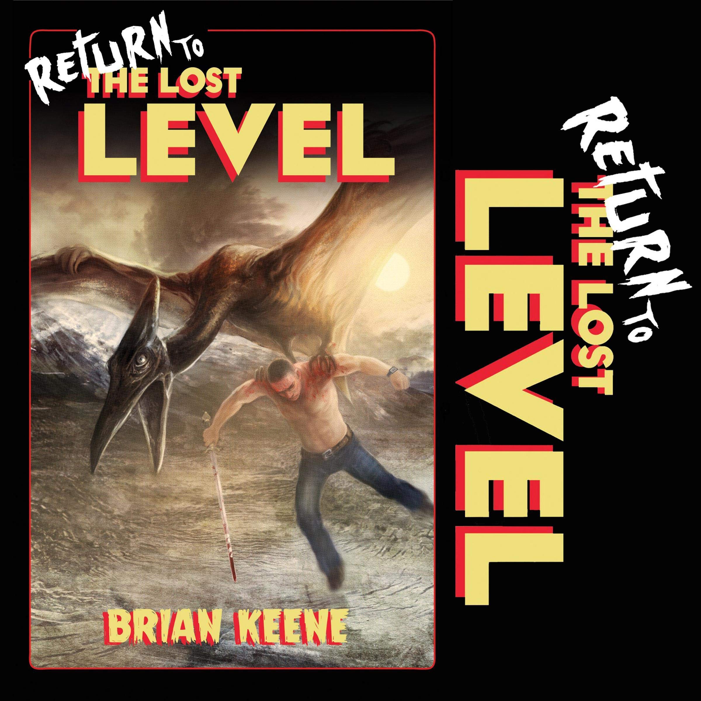 Cover art for Return to the Lost Level