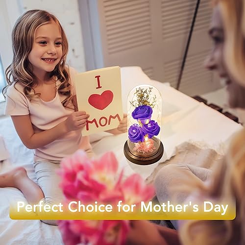 Miniatura 10 de oridom Regalo de flores preservadas, rosa iluminada en cúpula de cristal, regalos de flores eternas para ella, abuela, día de la madre, día de San