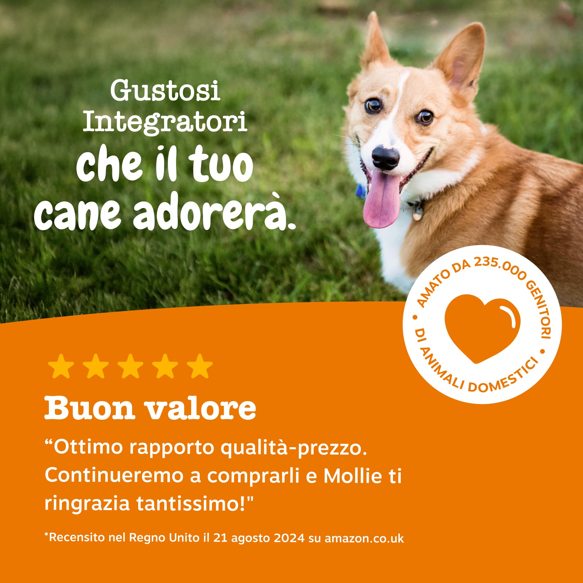 Zesty Paws Allergy & Immunity per Cani – Supporto Immunitario, Salute dell' Intestino, Pelle e Pelo – Per fastidi della Pelle – Con Olio di Salmone e Probiotici per Cani – 90 Bocconcini