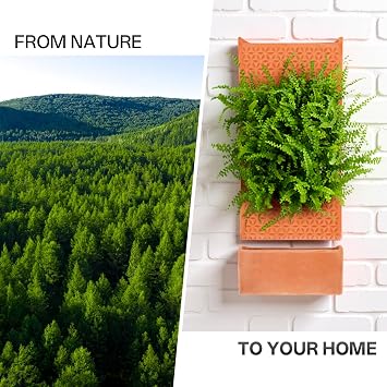 dadop Terracotta Self Watering Wall Pots for Indoor Plants, Hanging Planters for Indoor Plants Holder, Terra Cotta Pot Home Decor